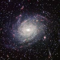 C101 - NGC 6744