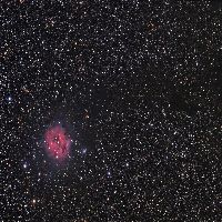 C19 - IC 5146 - Nebulosa del Capullo