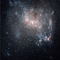 C21 - NGC 4449