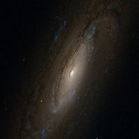 C29 - NGC 5005