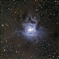 C4 - NGC 7023 - Nebulosa Iris