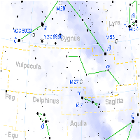 Vulpecula