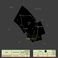 Púppidas - Vélidas