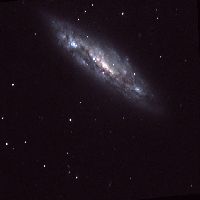 M108 - NGC 3556