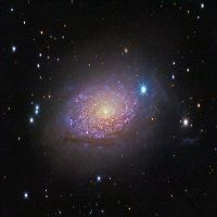 M63 - NGC 5055 - Galaxia del Girasol
