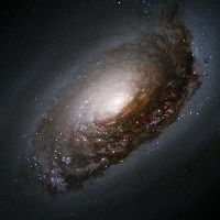 M64 - NGC 4826. Galaxia del Ojo Negro