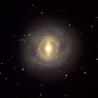 M95 - NGC 3351